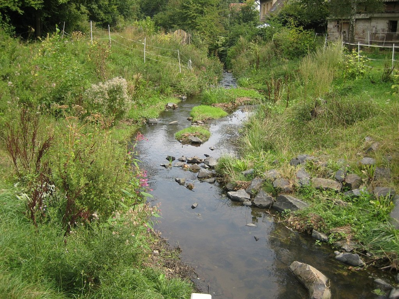Naturnahe Gestaltung KASSELWASSER